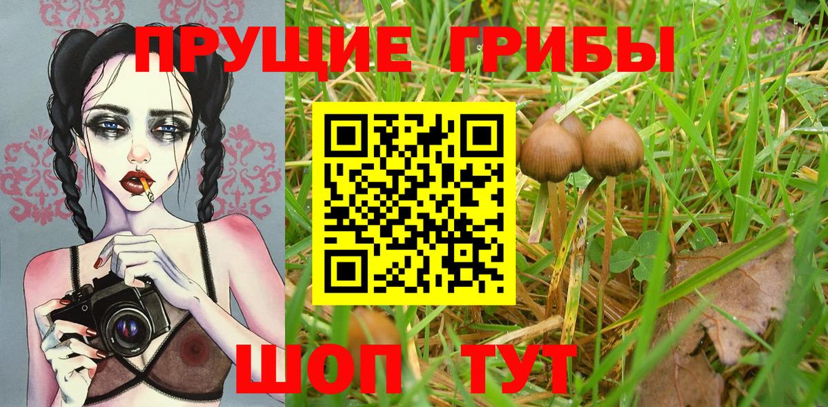 Галлюциногенные грибы мухоморы Томск